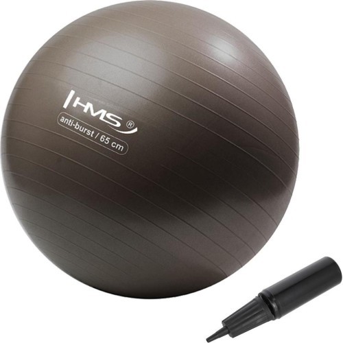 YB02N 65CM GRIZZLY GYM BALL HMS