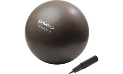 Gimnastikos kamuolys HMS YB02N 65 cm, grizzly