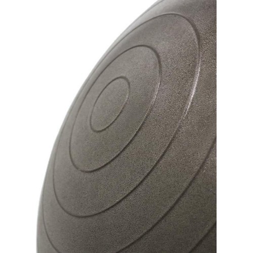 YB02N 65CM GRIZZLY GYM BALL HMS