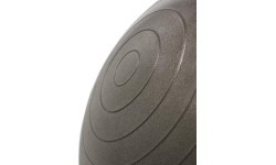 YB02N 65CM GRIZZLY GYM BALL HMS