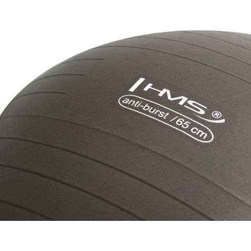 Gimnastikos kamuolys HMS YB02N 65 cm, grizzly