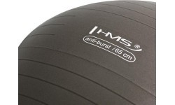 Гимнастический мяч HMS YB02N 65 см, гризли