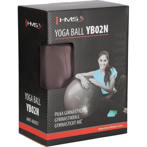 Gimnastikos kamuolys HMS YB02N 65 cm, grizzly