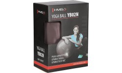 Gimnastikos kamuolys HMS YB02N 65 cm, grizzly