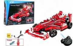 Nuotoliniu būdu valdomas automobilis Formula 317 EE