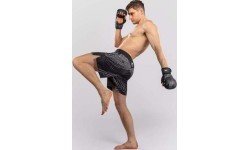 MMA šortai Venum Midnight Fury, juodi/pilki/sidabriniai