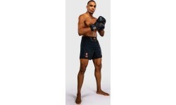 Шорты MMA Venum Thunder Dragon - черные/серые/медные