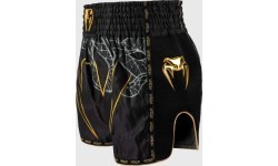 Venum Serpenti Muay Thai šortai - juoda/sidabrinė/auksinė