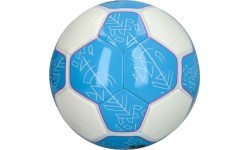 Puma Futbolo Kamuolys Prestige Ball White Blue 083992 12