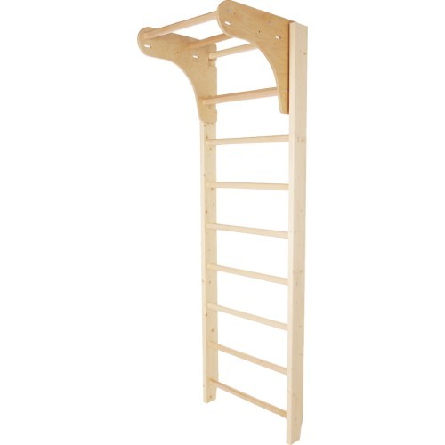 Gimnastikos sienelė su prisitraukimo skersiniu inSPORTline Steadyline, 220x65 cm