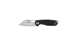 Ganzo Firebird FH924-BK folding knife