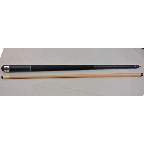 Buffalo Ionics pool cue 1