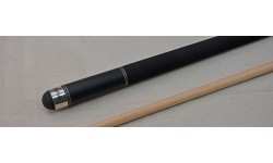 Buffalo Ionics pool cue 1