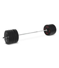 Pivot Fitness Pro Training Bumper хромированный набор блинов 170 кг
