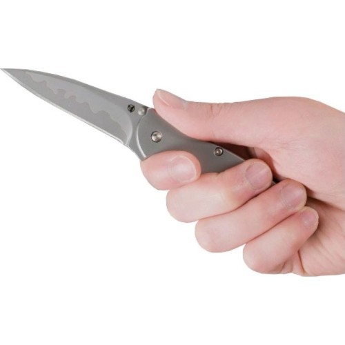 Складной нож Kershaw Leek 1660CB