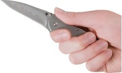 Складной нож Kershaw Leek 1660CB