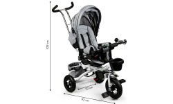 Turning tricycle 360° Grey Delux with canopy ECOTOYS