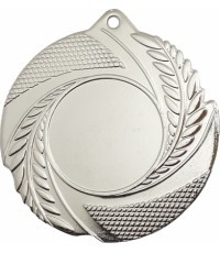 Medalis Z2967 - 50 mm - Sidabrinė