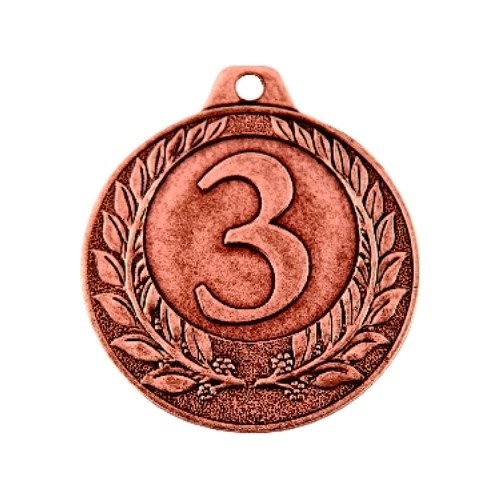 Medal NP13 Third place - 40 mm - Bronza