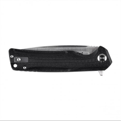 Folding Knife Ganzo Firebird FH91-BK