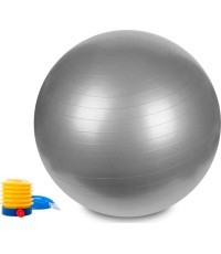 Hastings Gym Ball 65 cm Silver
