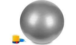 Hastings Gym Ball 65 cm Silver
