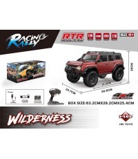 WILDERNESS R/C 1:10 car