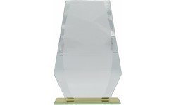 Стеклянная награда Z4484 - 18cm
