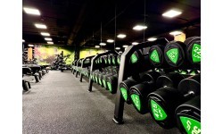Набор полиуретановых гантелей UpForm 1–10 кг (шаг 1 кг), 110 кг
