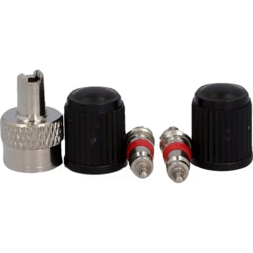 Fischer AUTO (AV) Valve Set // 2 valves