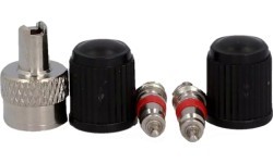 Fischer AUTO (AV) Valve Set // 2 valves