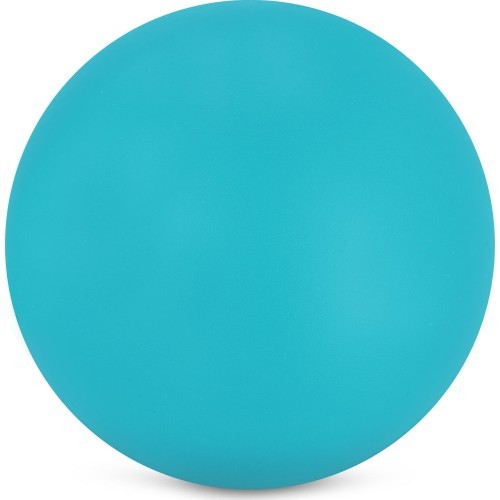 Nardymo tinklelis Spokey Diving Net