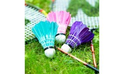 Badmintono rinkinys su dėklu Nils NRZ204