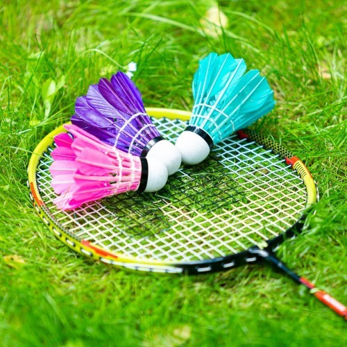 NRZ204 BADMINTON SET + COVER NILS