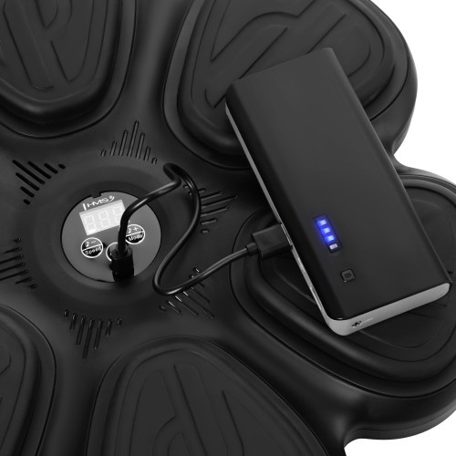 INTERACTIVE BOXING TARGET WITH BLUETOOTH, MUSIC AND GLOVES TB12 HMS