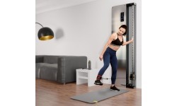 Pneumatinis prie sienos montuojamas treniruoklis HMS BSP301 komercinis