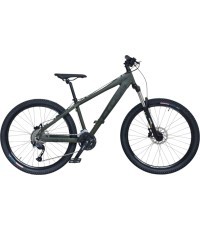 CROSS Dexter HDB 26" bike, 24-speed, size 15" (38 cm), green