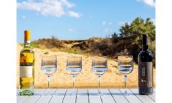 Origin Outdoors lauko vyno taurė