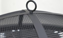TAAL fireplace with grill grate and lid