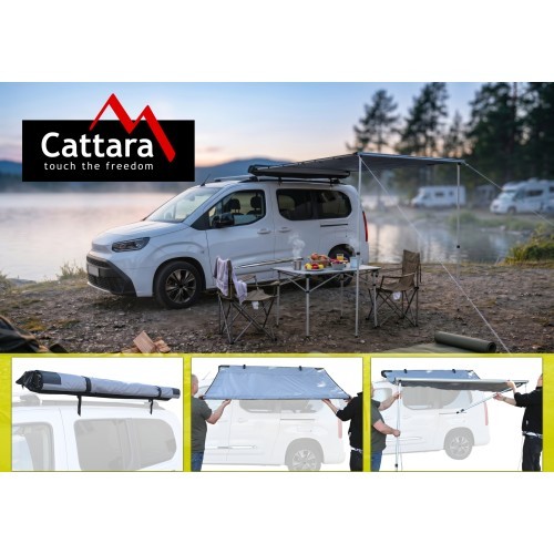 Automobilio markizė Sapri 200x250 cm PU2000mm