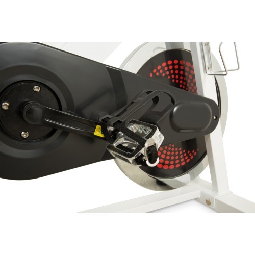 Newton Fitness Indoor Cycle SP-1