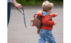 Детский рюкзак Littlelife Dinosaur