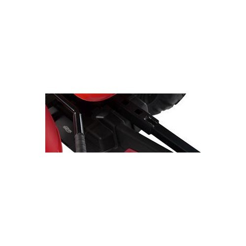 Go-kart BERG Case IH BFR