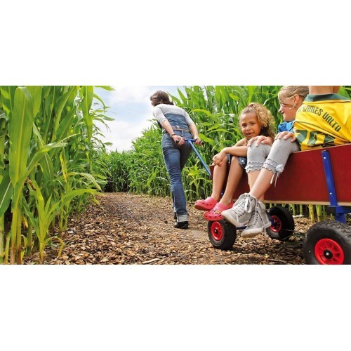 BERG Beach Wagon XL