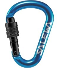 Salewa Carabiner 'HMS G2