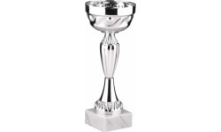 Trophy 9544 - 26cm - Silver