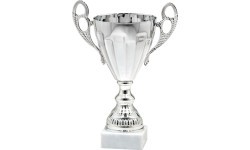 Trophy 9358 - 27cm - Silver