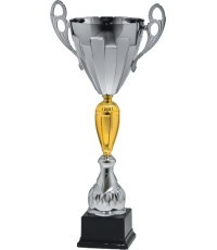 Trophy 10112 - 48cm - Silver