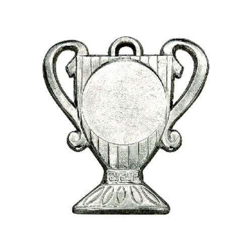 Medalis Z208 - 50 mm - Sidabrinė