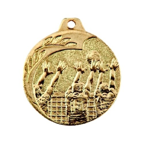 NP08 Volleyball Medal - 40 mm - Gold